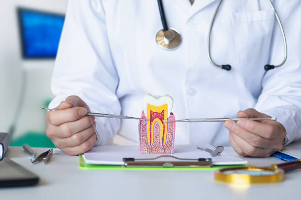 Best After-Hours Dental Care in Kotlik, AK